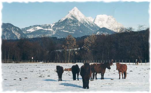 Reiten Sie durch die herrliche Tiroler Landschaft am Fuße des Wilden Kaiser...